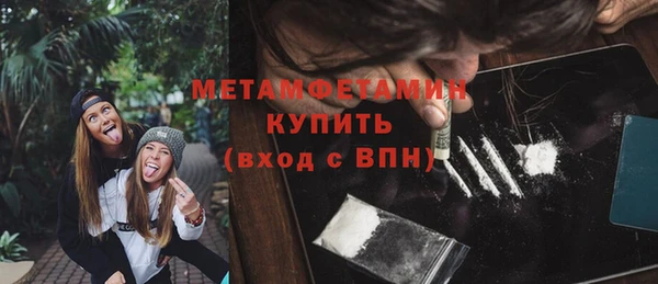 шишки Бородино