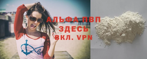 шишки Бородино