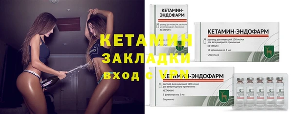 шишки Бородино