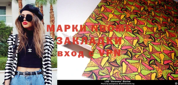 шишки Бородино