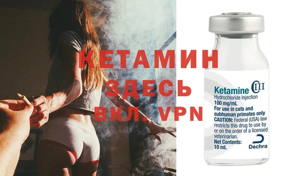 шишки Бородино