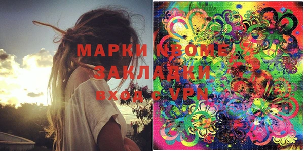 шишки Бородино