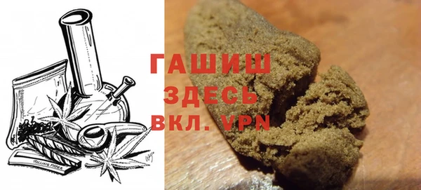 шишки Бородино