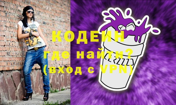 шишки Бородино